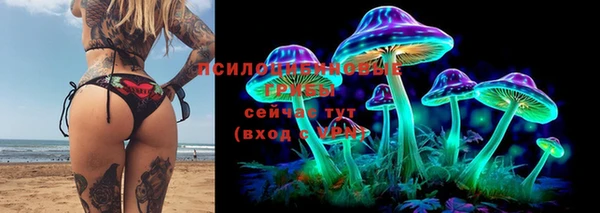 прущая мука Богданович