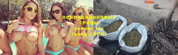 прущая мука Богданович